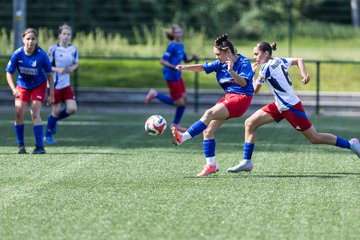 Bild 208 - wCJ Hamburger SV - FC Rosengarten : Ergebnis: 1:1